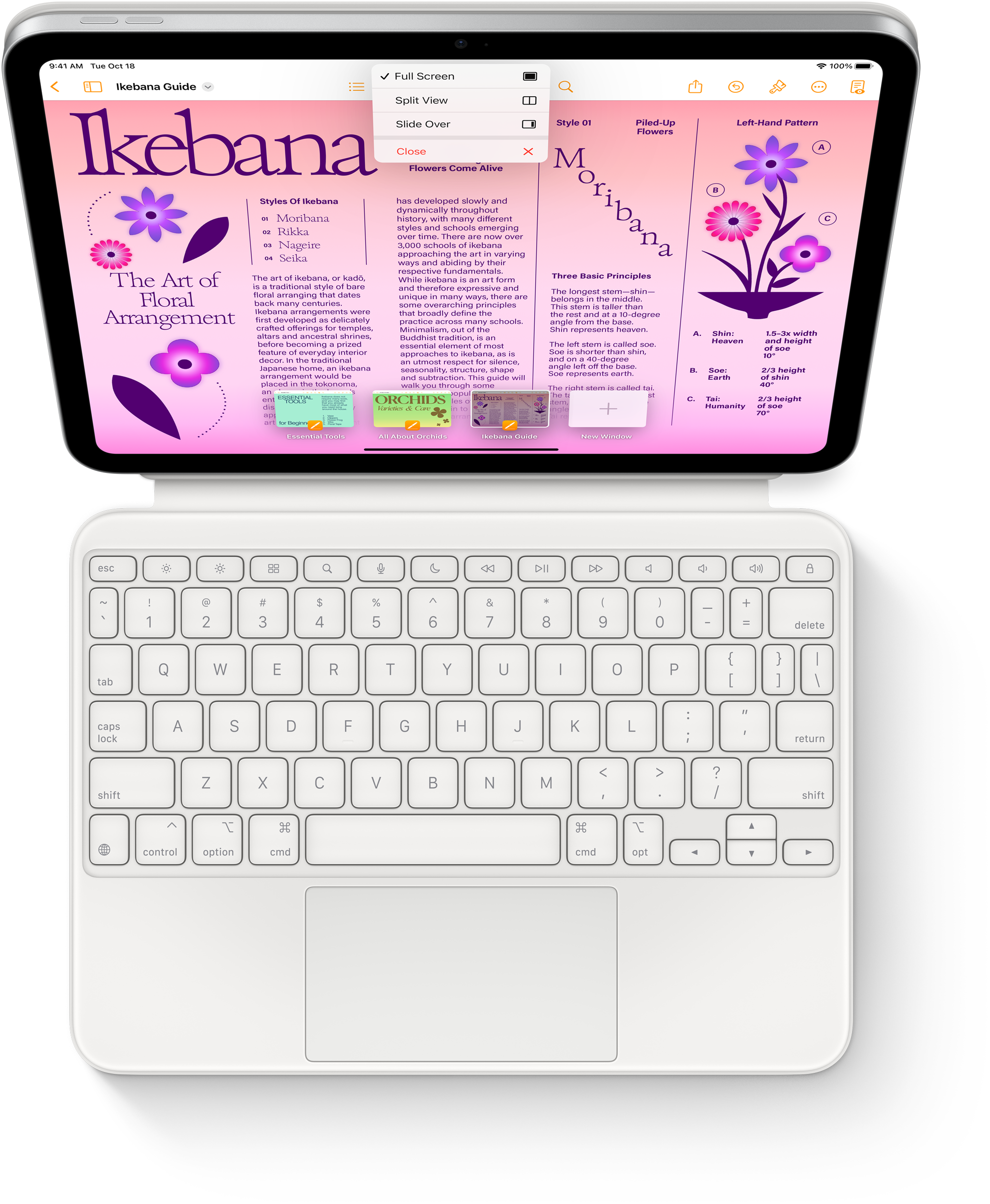 Magic Keyboard Folio